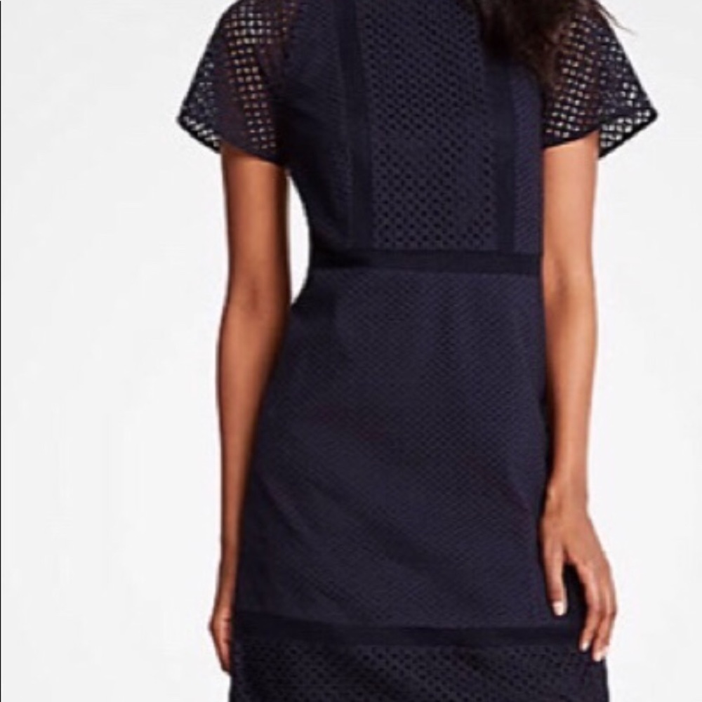 Ann Taylor Eyelet Dress